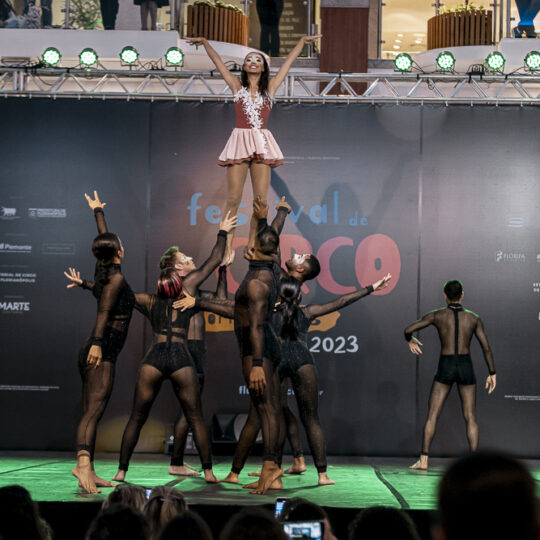 https://marte.art.br/festivaldecirco/wp-content/uploads/sites/4/2025/07/0T6A05981-1-540x540.jpg