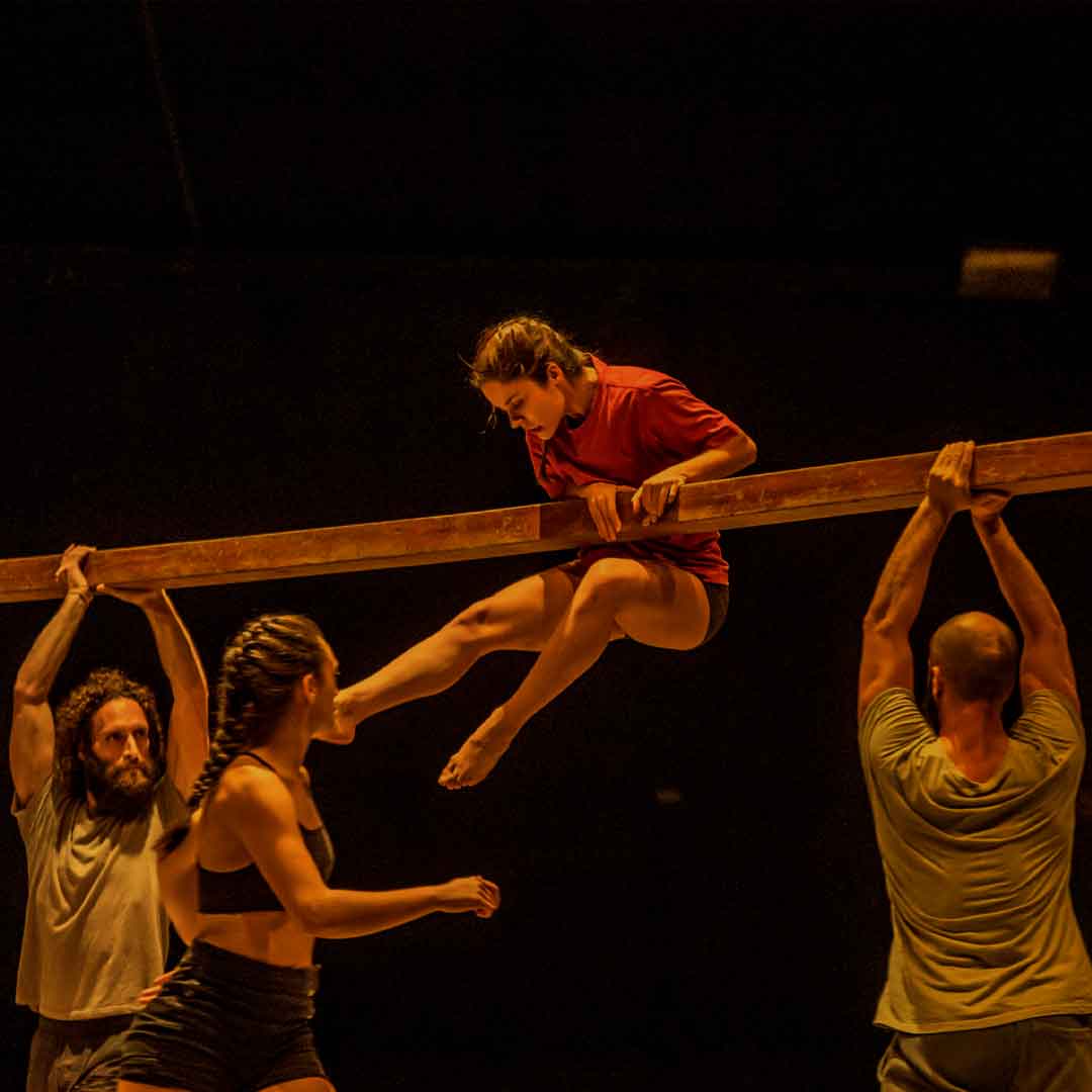 https://marte.art.br/festivaldecirco2024/wp-content/uploads/sites/15/2022/09/circar.jpg