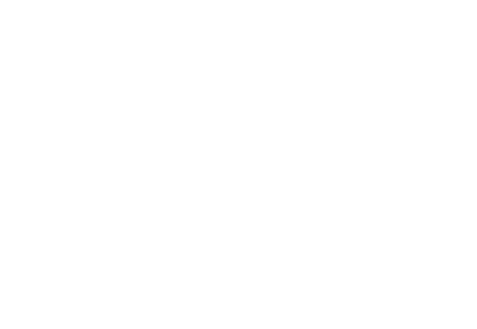 Festival de Circo