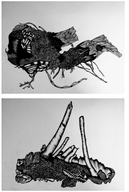 Edson Macalini - Arqueologias Afetivas Desenhos de Raízes Cepas de Uvas em nanquim - A3