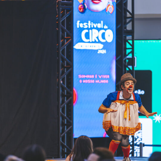 https://marte.art.br/marte/wp-content/uploads/2024/11/512986_FESTIVAL_DE_CIRCO_WEB-540x540.jpg